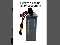 Ici, il y a une batterie de 45 V 12 S 16000 mAh 25 C.