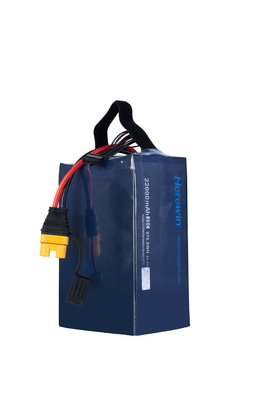 MSDS UN38.3 BIS Herewin 12s batterie Lipo batterie UAV 22Ah 45.6V 25C charge rapide